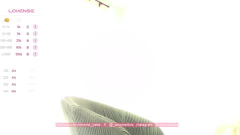 Gwendy Fox online show from 01/12/25, 04:08