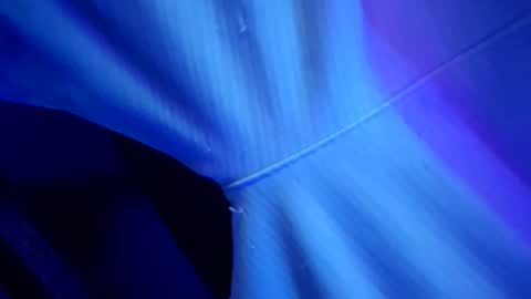 Snapshot of chronicvibez chatting on 03/01/26, 12:56 chronicvibez online show from 03/01/26, 12:56