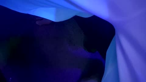 Snapshot of chronicvibez chatting on 03/19/26, 03:21 chronicvibez online show from 03/19/26, 03:21