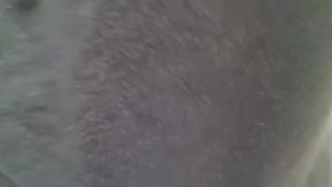 Snapshot of chubbycub14 chatting on 02/07/26, 03:38 chubbycub14 online show from 02/07/26, 03:38