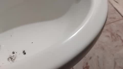 Snapshot of ciccilli chatting on 11/01/25, 10:23 ciccilli online show from 11/01/25, 10:23