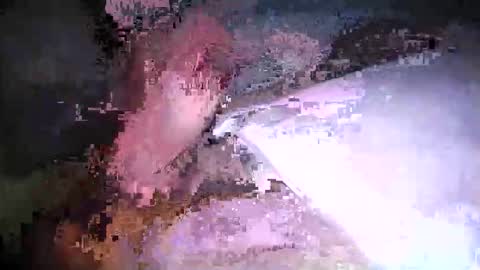 cicuta15 online show from 03/17/26, 01:10