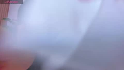  CINTIA  online show from 04/30/26, 11:49