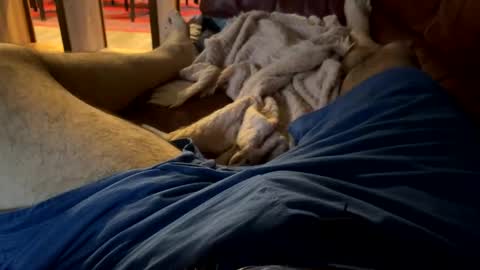 Snapshot of cj3d2 chatting on 12/13/24, 09:52 Cjd32 online show from 12/13/24, 09:52