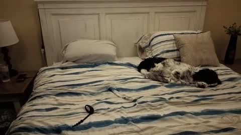 KingDing online show from 10/10/25, 07:40