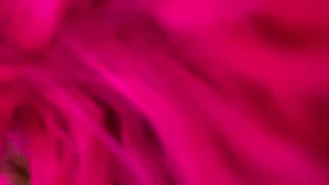 Snapshot of clarkshammer95 chatting on 03/03/25, 09:26 clarkshammer95 online show from 03/03/25, 09:26