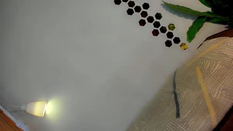 Amanda trans red one  Anna Girl black one online show from 01/12/26, 03:17