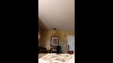 claytonbrannon3717547 online show from 12/17/25, 11:05