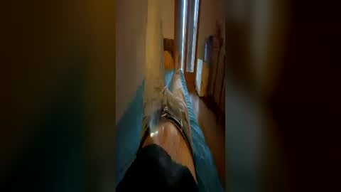 clou18 online show from 06/14/26, 06:21