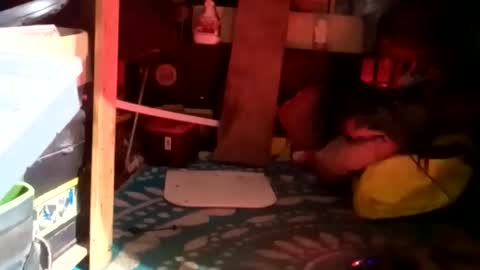 Snapshot of clubberlang10 chatting on 01/23/25, 09:39 HeyTurkeyBoy online show from 01/23/25, 09:39