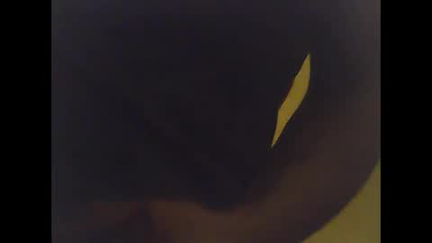 Snapshot of cobra1092 chatting on 02/02/26, 06:01 cobra1092 online show from 02/02/26, 06:01