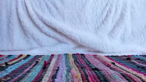 Snapshot of cocknholestar chatting on 02/18/25, 08:25 Gorgeous online show from 02/18/25, 08:25