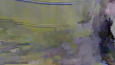 cockreadynow4u online show from 10/22/25, 05:08