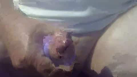 Snapshot of cocktoys chatting on 03/14/26, 08:25 cocktoys online show from 03/14/26, 08:25