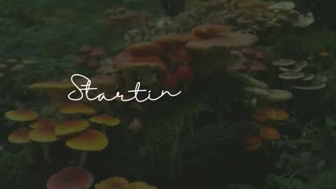 Snapshot of cocoasundaze chatting on 03/24/26, 03:11 Sunnye Daze online show from 03/24/26, 03:11