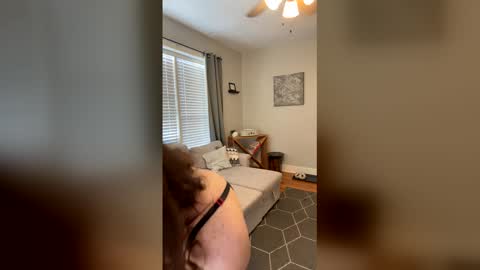 Code By Nova online show from 12/18/25, 07:42