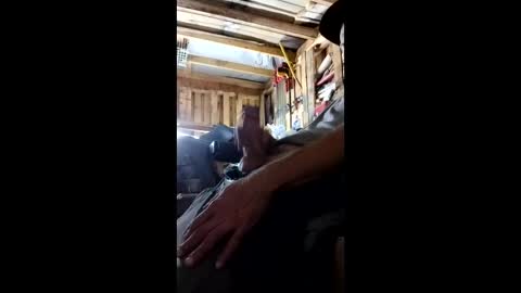 lickerpro69 online show from 05/05/26, 03:14