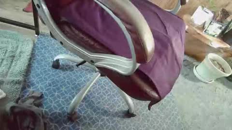 Snapshot of cody81421 chatting on 01/12/26, 02:22 cody81421 online show from 01/12/26, 02:22