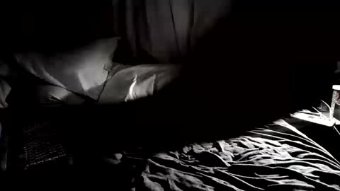 Snapshot of cojax1414 chatting on 09/25/25, 02:04 Mr. Fun Time online show from 09/25/25, 02:04