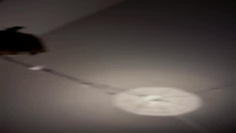 comefukme online show from 08/02/26, 11:52