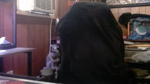 Snapshot of comic_king27 chatting on 03/08/26, 01:59 Nelson or ComicKing and sometime Peachy143 online show from 03/08/26, 01:59