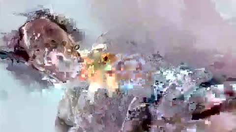 Snapshot of cook135710 chatting on 11/17/25, 07:08 Mount N Drew online show from 11/17/25, 07:08