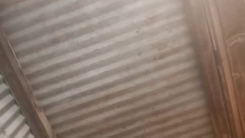 Jaiscookie cum play with me online show from 02/19/26, 06:31