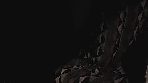 Snapshot of coolmementox chatting on 01/17/25, 01:04 ChoveEnArrakis online show from 01/17/25, 01:04