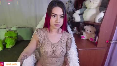 Snapshot of coralwells chatting on 11/08/25, 09:13 coralwells online show from 11/08/25, 09:13