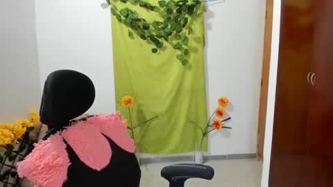 Ethan  online show from 12/28/24, 04:30