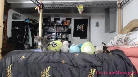 Amethyst Cox online show from 03/26/26, 10:04