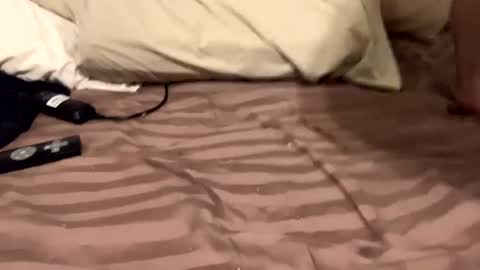 Snapshot of countrystudd chatting on 12/11/24, 08:58 Countrystudd online show from 12/11/24, 08:58