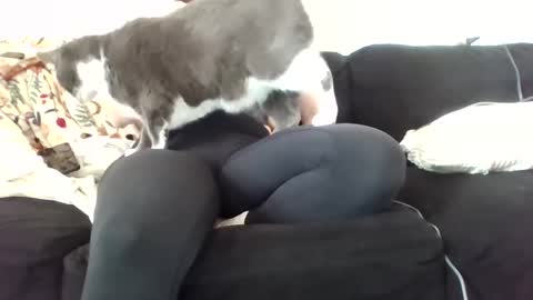 courtxoxo_o online show from 02/20/25, 09:31