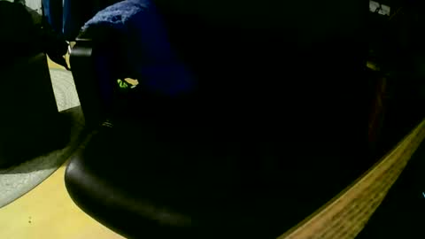 coyote017 online show from 11/01/25, 07:49