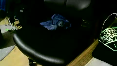 coyote017 online show from 11/17/25, 09:31