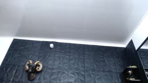 Hanna  online show from 11/30/25, 04:38