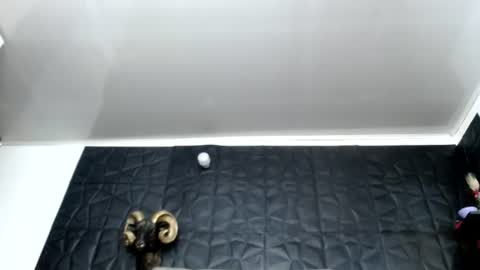 Snapshot of cristal_smith06 chatting on 06/12/26, 07:07 Hanna online show from 06/12/26, 07:07