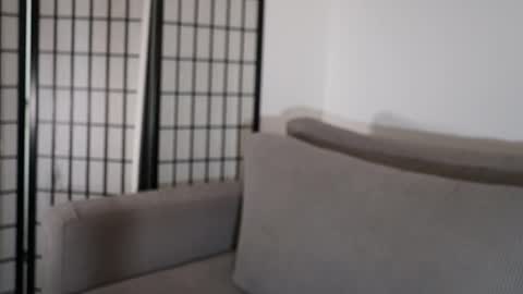 Snapshot of cristalhill chatting on 01/17/26, 09:29 Laura online show from 01/17/26, 09:29