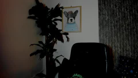 Snapshot of cristobal12cock chatting on 03/29/26, 11:38 Cristian online show from 03/29/26, 11:38