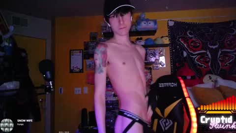 Snapshot of cryptidtwink chatting on 02/19/26, 06:53 CryptidTwink online show from 02/19/26, 06:53