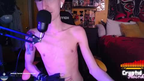 Snapshot of cryptidtwink chatting on 03/11/26, 06:08 CryptidTwink online show from 03/11/26, 06:08