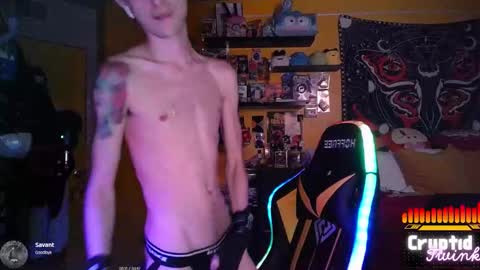 Snapshot of cryptidtwink chatting on 03/15/26, 06:30 CryptidTwink online show from 03/15/26, 06:30