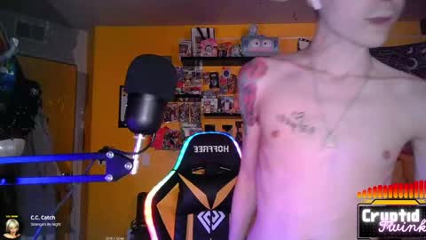 Snapshot of cryptidtwink chatting on 03/18/26, 06:27 CryptidTwink online show from 03/18/26, 06:27