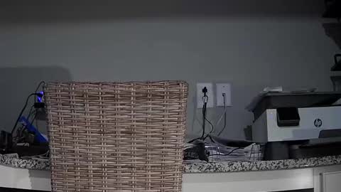 Cubantoo online show from 11/22/25, 11:15