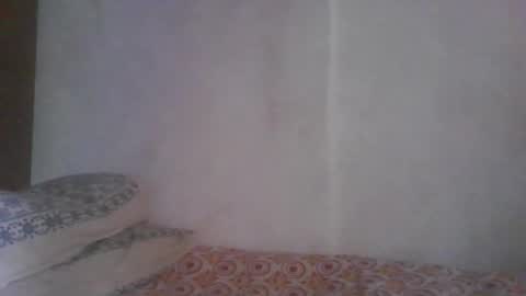 Noha online show from 03/12/26, 06:41