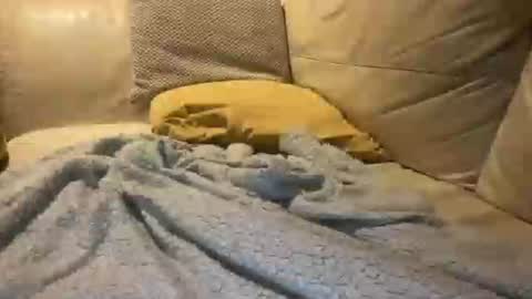 Snapshot of cumfar1985 chatting on 12/18/25, 02:39 Cumfar online show from 12/18/25, 02:39