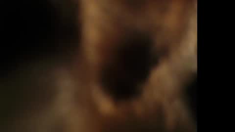 Giselle online show from 10/25/25, 07:41