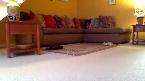 cumonherguys online show from 11/07/25, 08:25