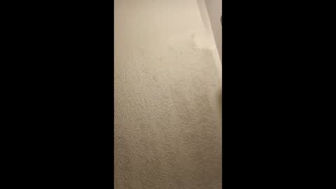 Snapshot of cumplay79 chatting on 01/19/26, 05:11 cumplay79 online show from 01/19/26, 05:11