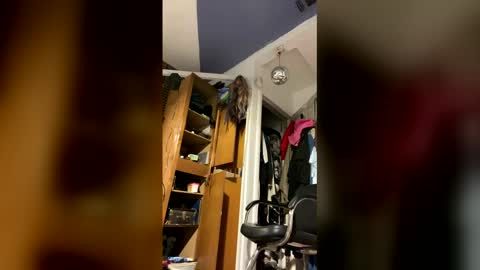 Snapshot of cumsinmealot chatting on 02/02/26, 09:35 Aprilia online show from 02/02/26, 09:35